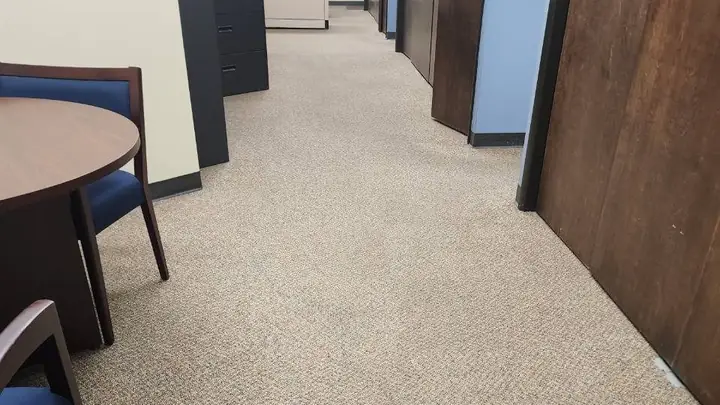 Office corridor with vacuumed carpet after a Chow visit