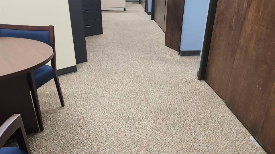 Office corridor with vacuumed carpet after a Chow visit