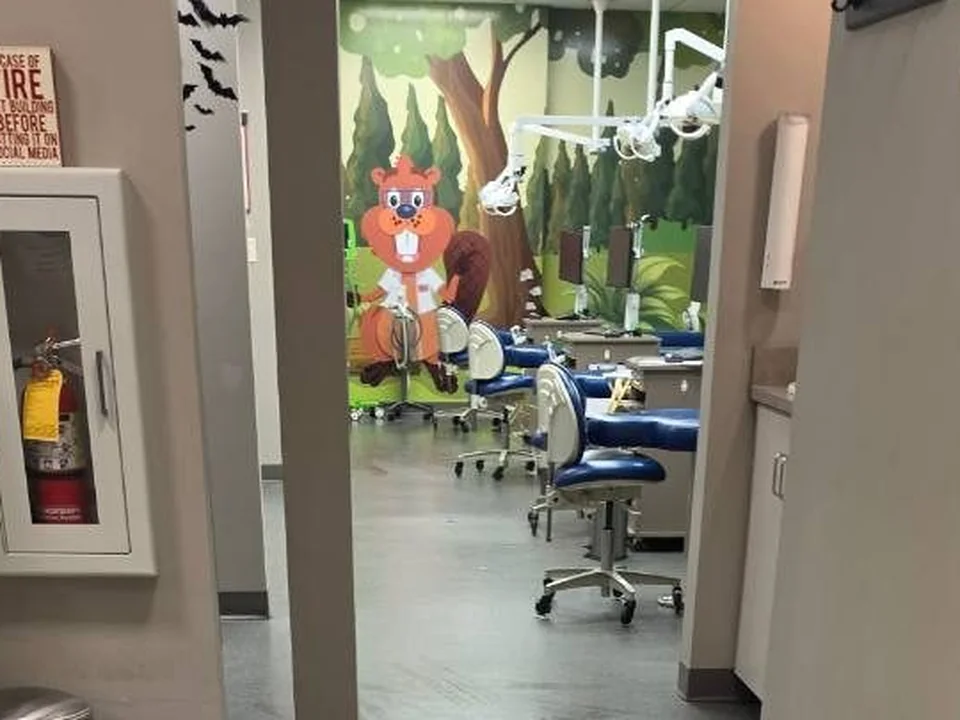 Clinic operatory with patient chairs after cleaning